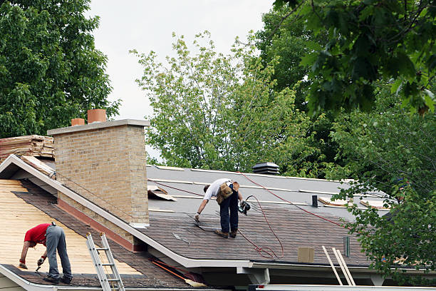Best Storm Damage Roof Repair  in West Park, CA